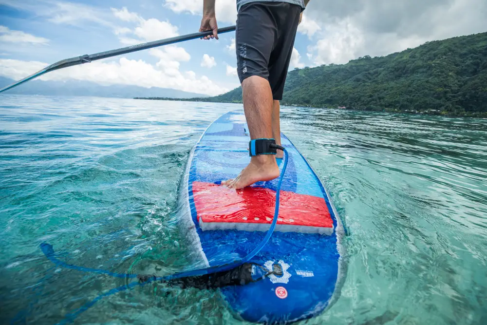 a person on a SUP board in the water